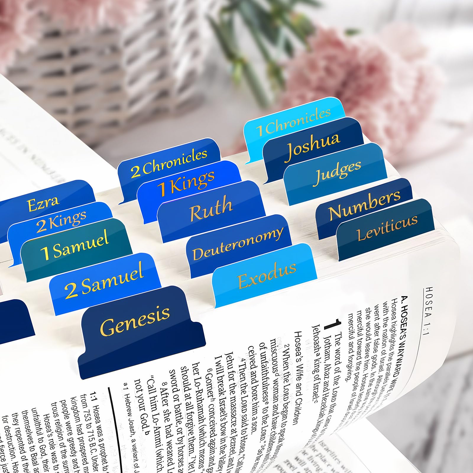 Bible Tabs for New Testament, Large Font, Laninated Intex Tabs