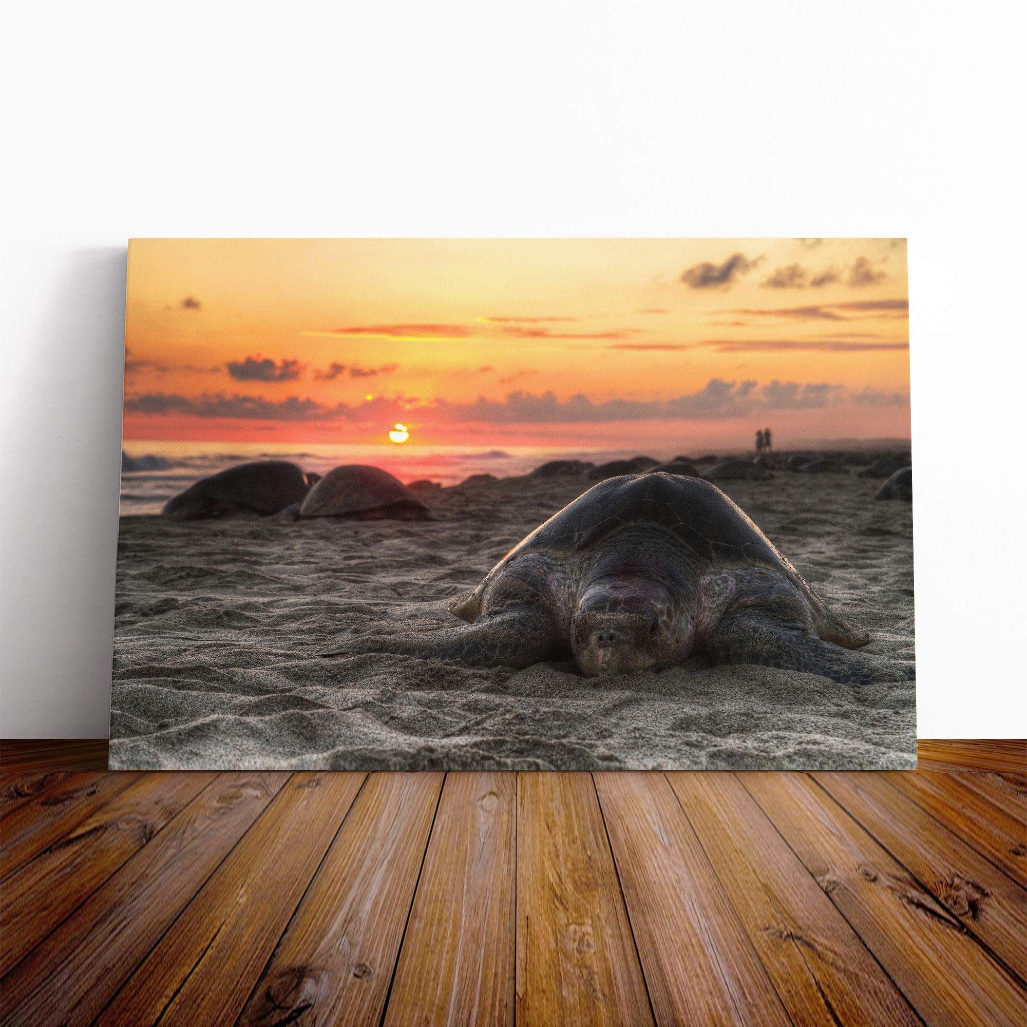 Turtle Sunset Beach Seascape Canvas Print | Gallery Wrapped 30mm Frame Wall Art | 24x16 inches | Ready to Hang | Modern Animals Picture | Living Room Bedroom Lounge Office