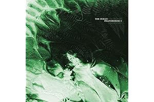 The Ocean Phanerozoic: An Analog of the Phanerozoic Eon's Cambrian Explosion