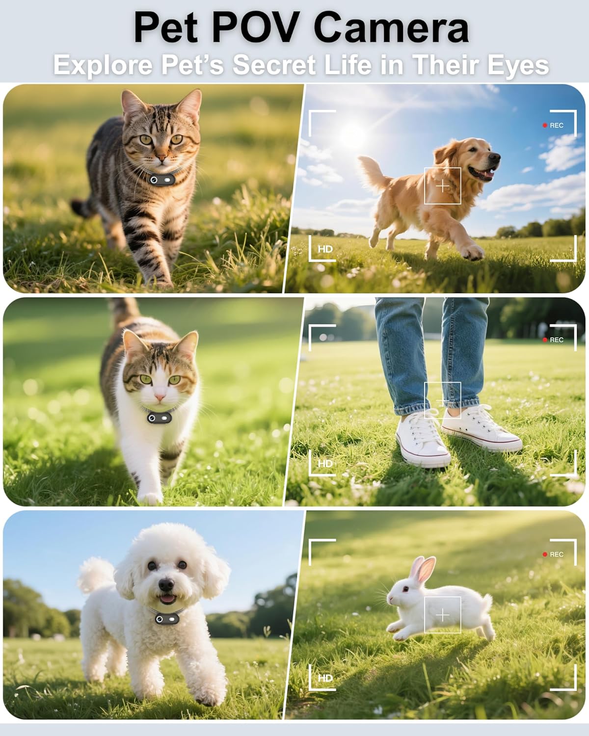 Cat & Dog Camera Collar with Phone APP, 1080P HD Video Recording Pet Camera Collar – Lightweight Pet POV Cam for Curious Cats & Adventurous Pups (XS-with Tracker)