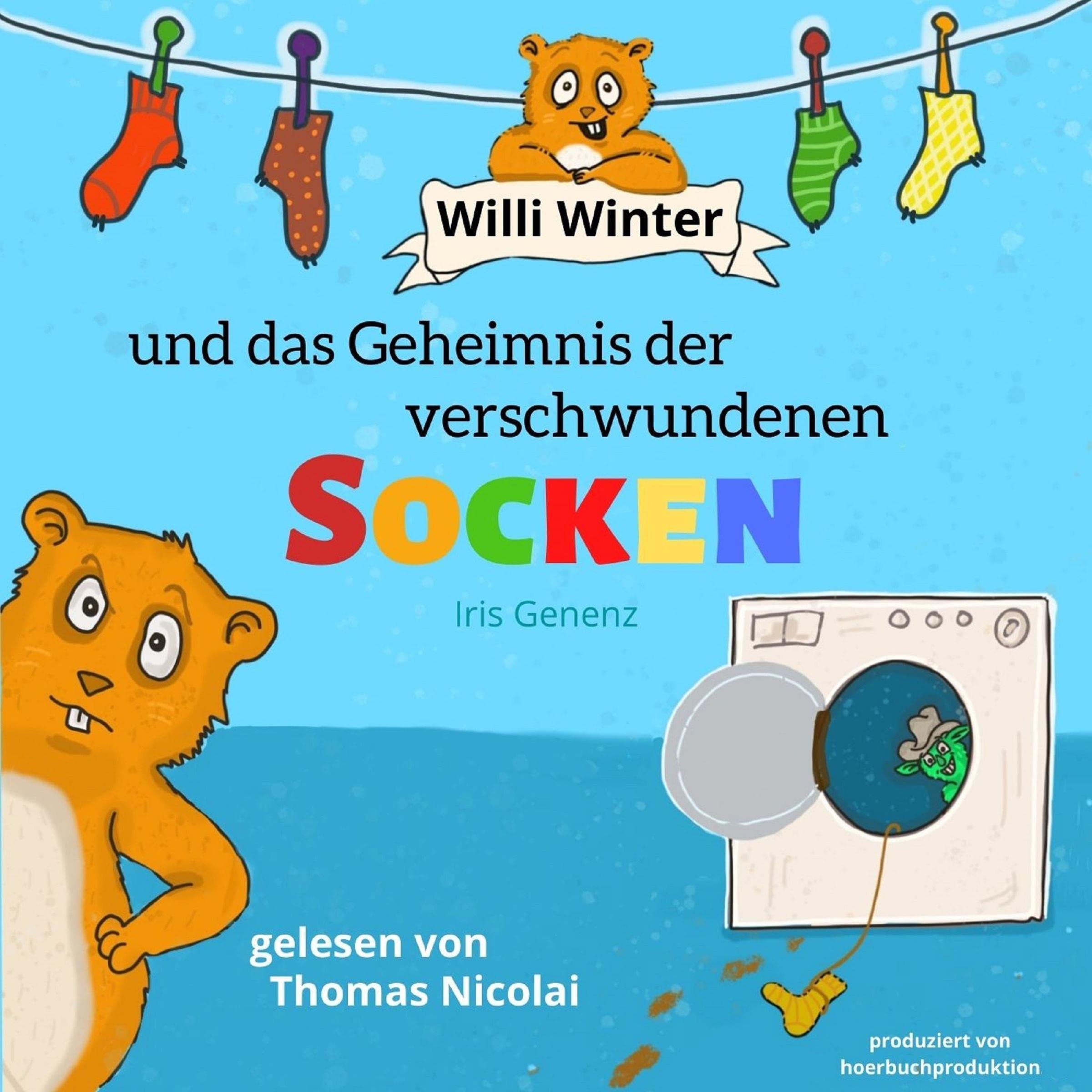 Cover art for Willi Winter und das Geheimnis der verschwundenen Socken