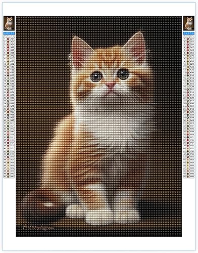 Kits de pintura de diamantes para adultos, gato naranja redondo taladro completo 5D diamantes gemas arte arte kits de decoración del hogar y