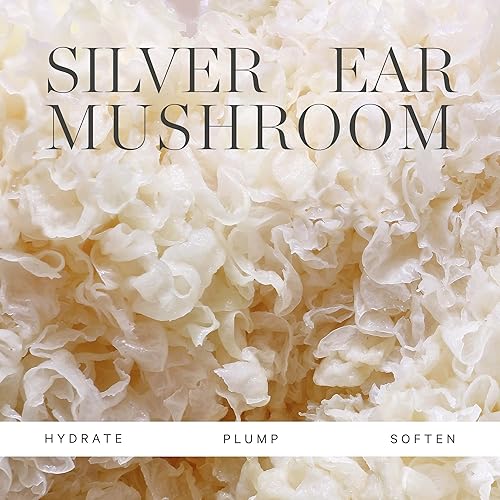 Miniatura 5 de KORA Organics - Aceite limpiador suave de hongos lechosos - 51fl oz