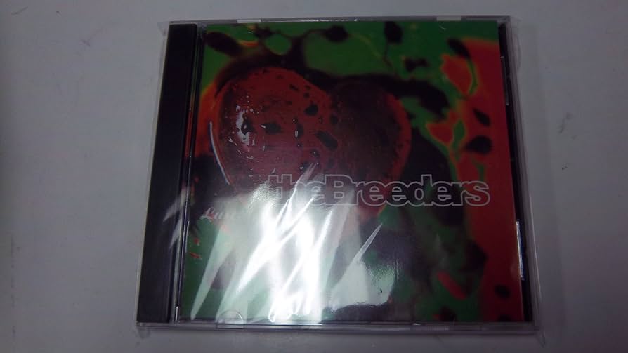 ラスト一枚【Foil】(495)■拡張アート■ジャッジマスター、ガブラス　英語版 ミントモール / MINT GAMES MTG(東日本橋) / 【FIN】【ENG