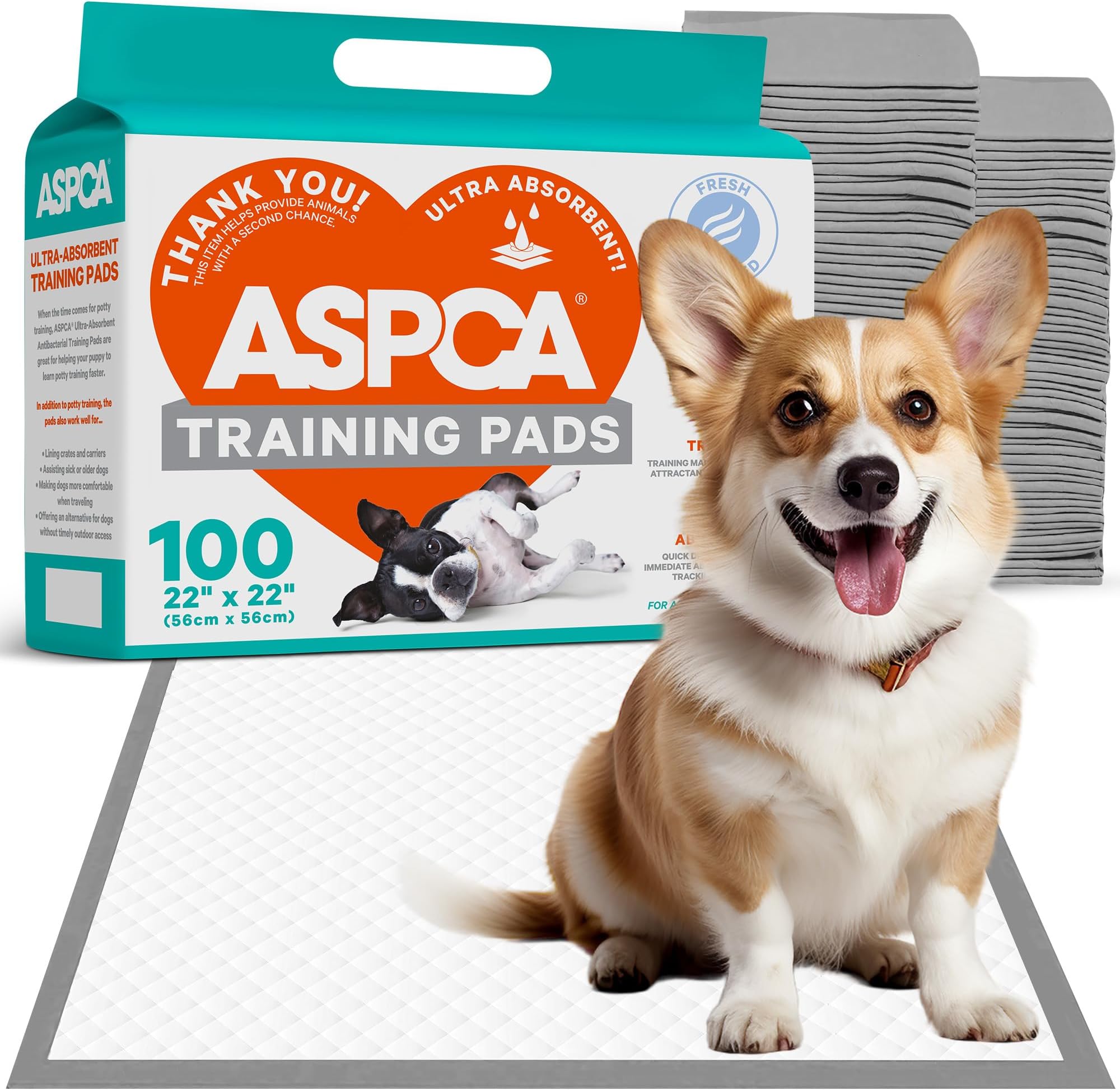 ASPCA AS62930 Dog Training Pads, Pack of 100, Gray, 22" x