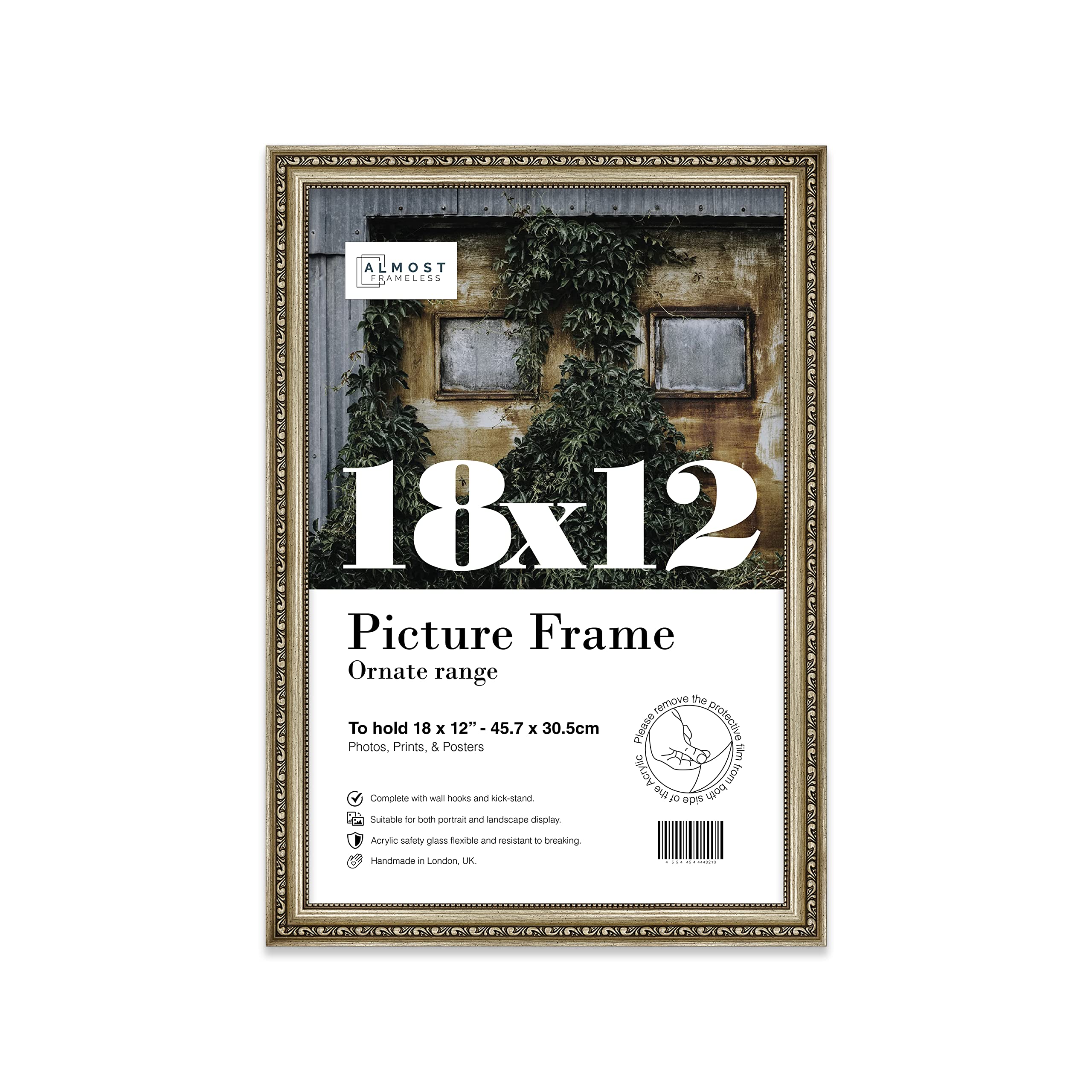 Almost Frameless 18x12 Champaign Ornate Picture Frame 18"x12"(45.7x30.5cm) Poster, Photo, Artwork, or Print. Antique Style Portrait and Landscape Display with Wall Hooks