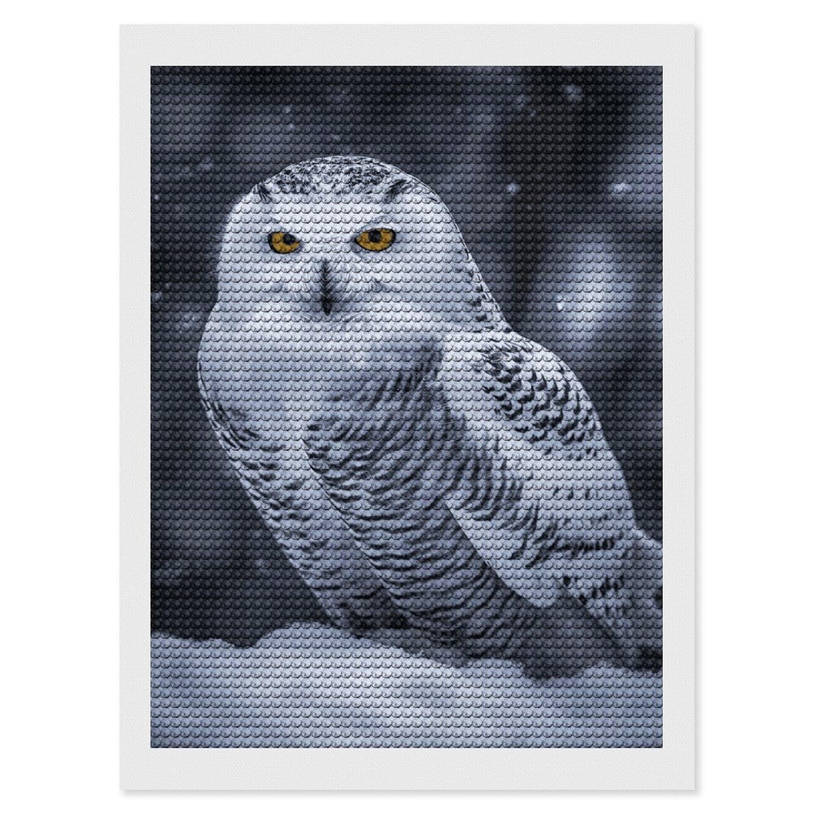 Arctic Owl Diamond Painting Kits for Adults, DIY 5D Diamond Painting Kits for Beginners, Round Full Drill Diamond Dots Paintings, Diamonds Pictures Gem Art for Crafts Home Decor 12"x16"