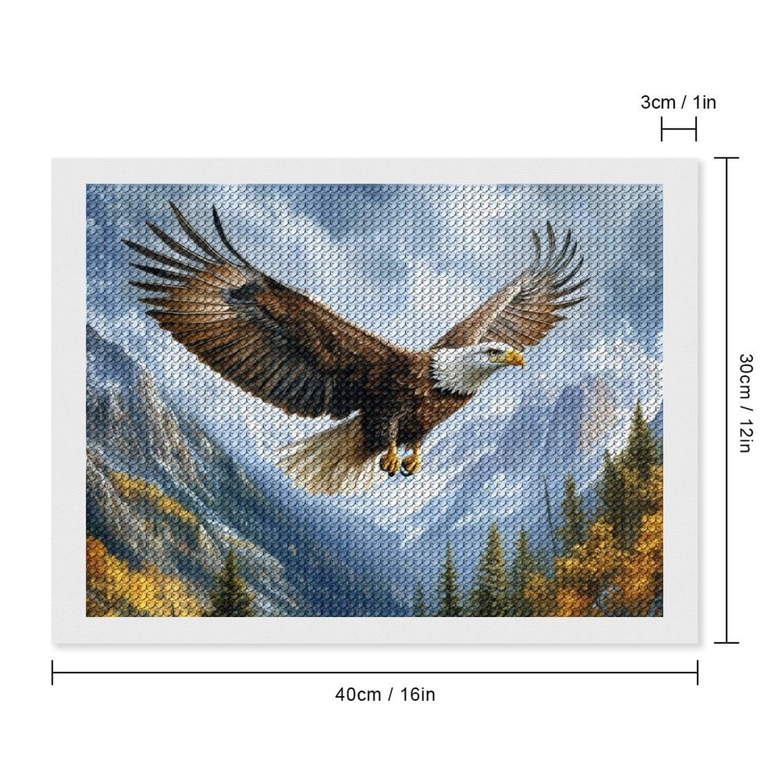ATOMIC SUCCESS ＆ DIAMIR EAGLE Amazon.com: zxxpensy Soaring Eagle Diamond Drawing Art Kit for