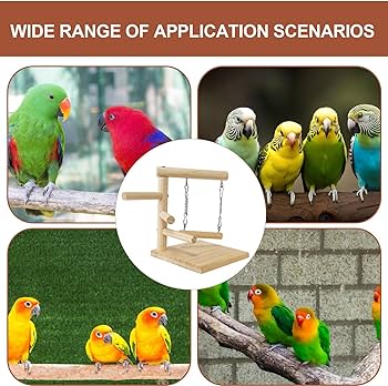 Amazon.co.jp: 鳥とまり木スタンド | 木のオカメインコの遊び場