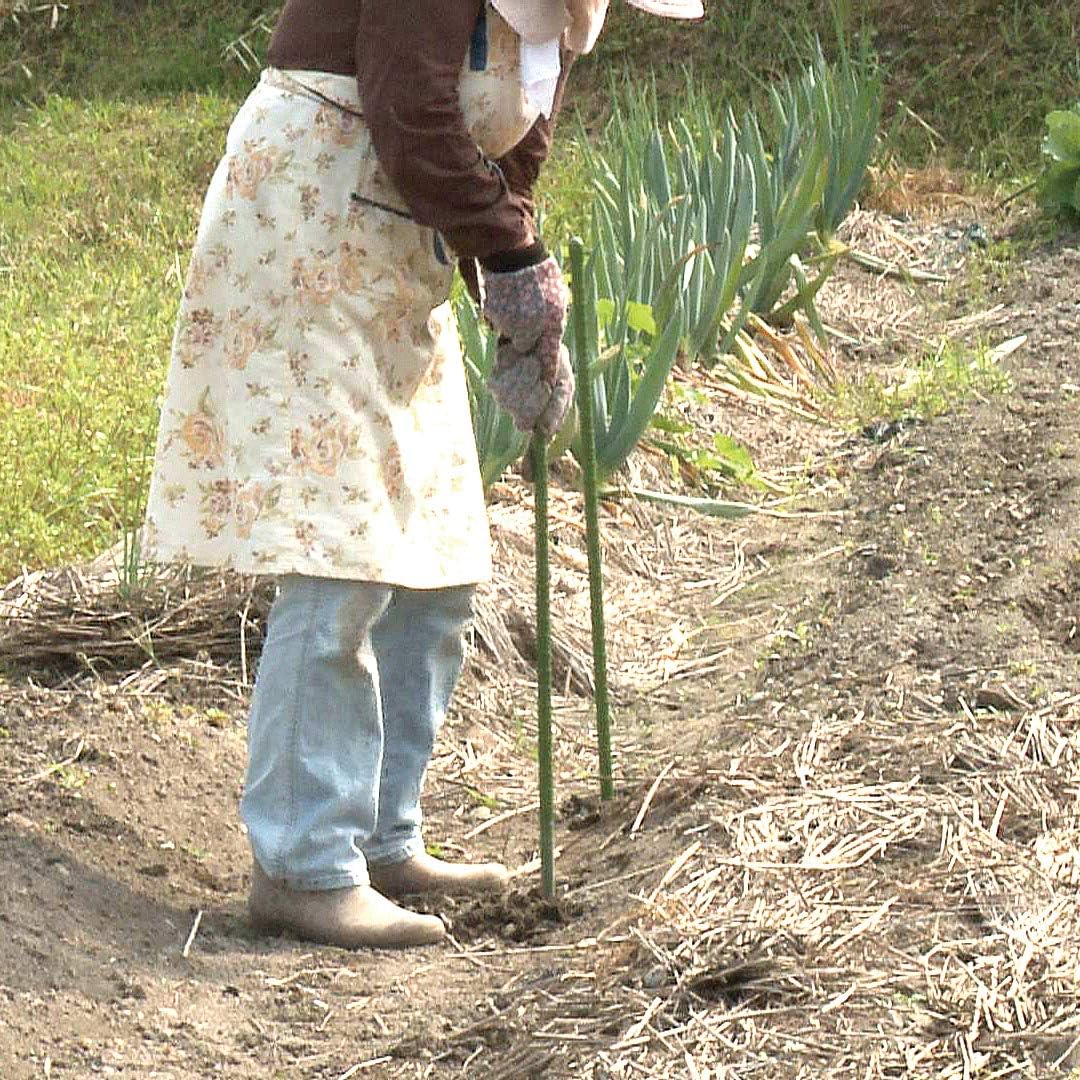 Senkichi Hole Digger for Poles 25mm SGHD-25 (Japan Import)