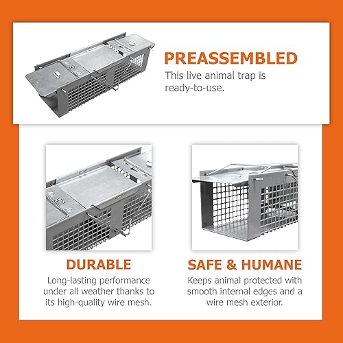Miniatura 3 de HOMESTEAD No Kill - Trampas para ratones humanas jaula de ratón de 10 x 3 x 3 pulgadas, trampa viva para animales pequeños para ratones, musarañas y