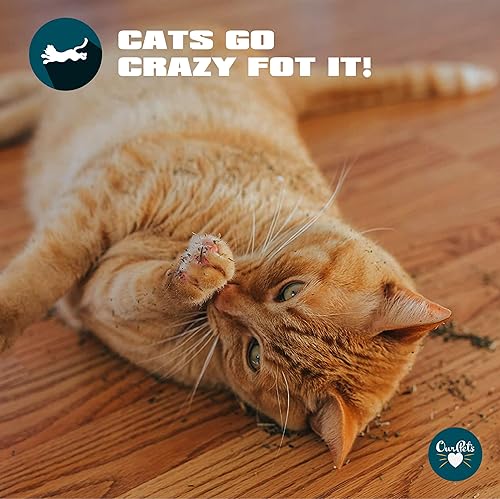 Miniatura 6 de Our Pets Hierba gatera prémium  Tarro de 1.25 oz de hierba gatera de alta potencia  100% cultivado en América del Norte