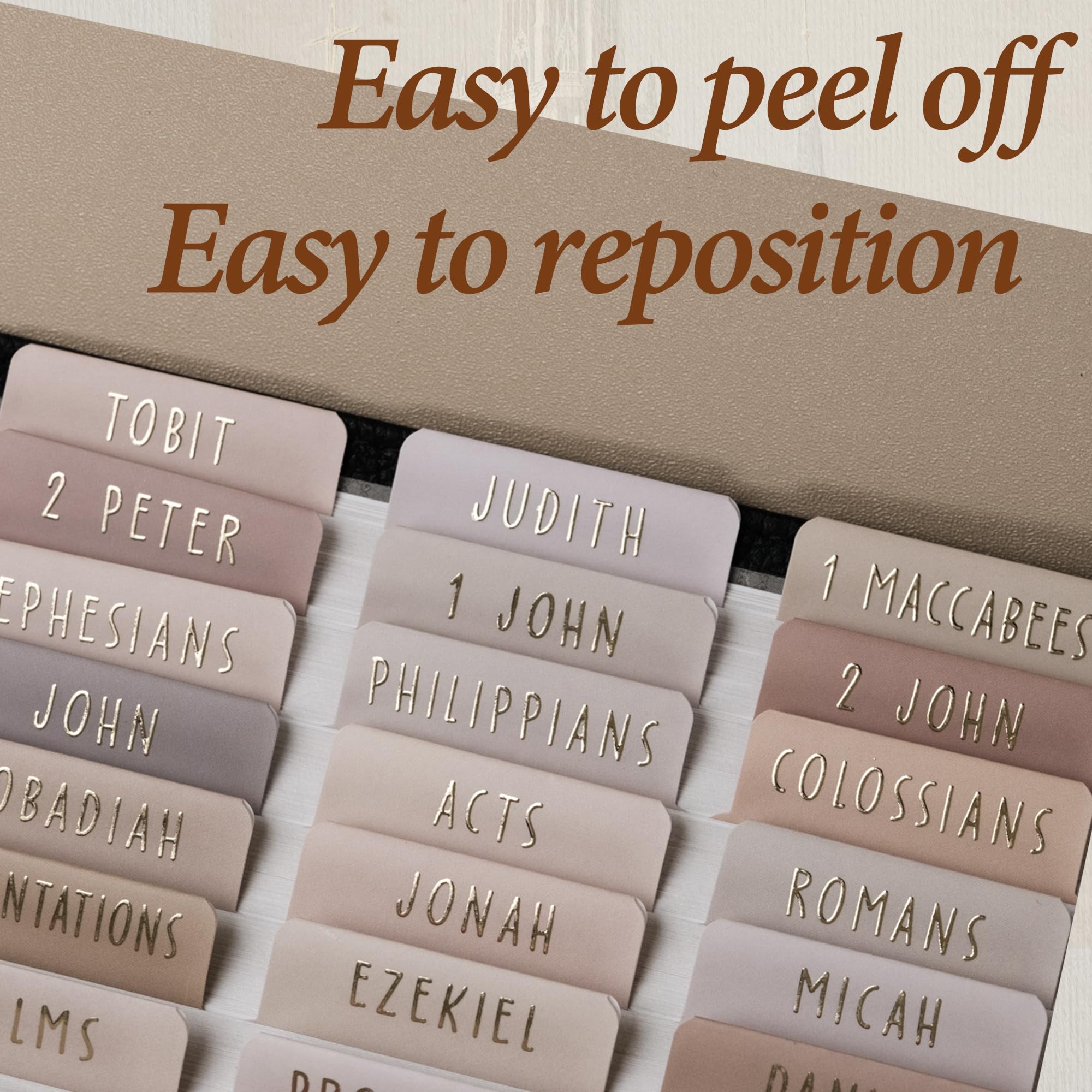 View 5