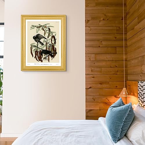 Miniatura 4 de Póster enmarcado con diseño de cuervo de pescado de James Audubon para decoración de pared  Pósteres e imágenes de reproducción de pinturas de obras
