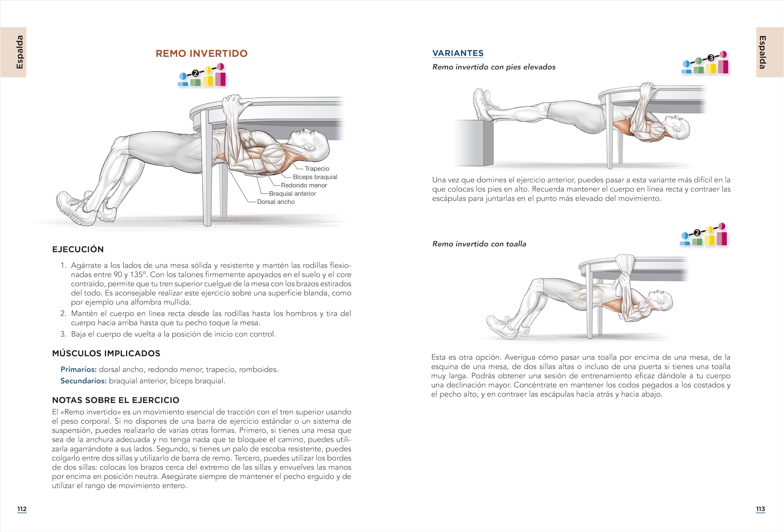 Anatomía del entrenamiento de fuerza con el peso corporal. Nueva edición ampliada y actualizada: Guía ilustrada para entrenar tu cuerpo utilizando tu propio cuerpo