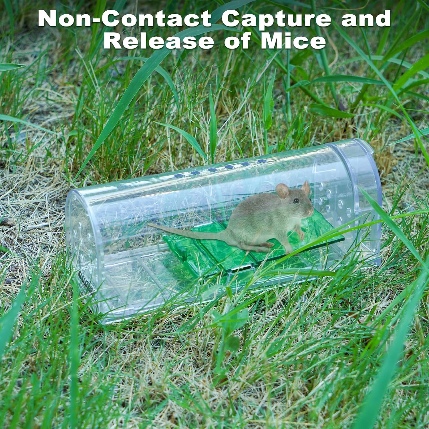 Lot de 2 Piège à Souris Vivante, Piège À Souris Réutilisable pour Rongeurs, Attrape Souris Libération sans Contact, Attrape Souris Intelligent avec Trou pour Cuisine, Jardin, Maison, Grenier, Garage — vue 6