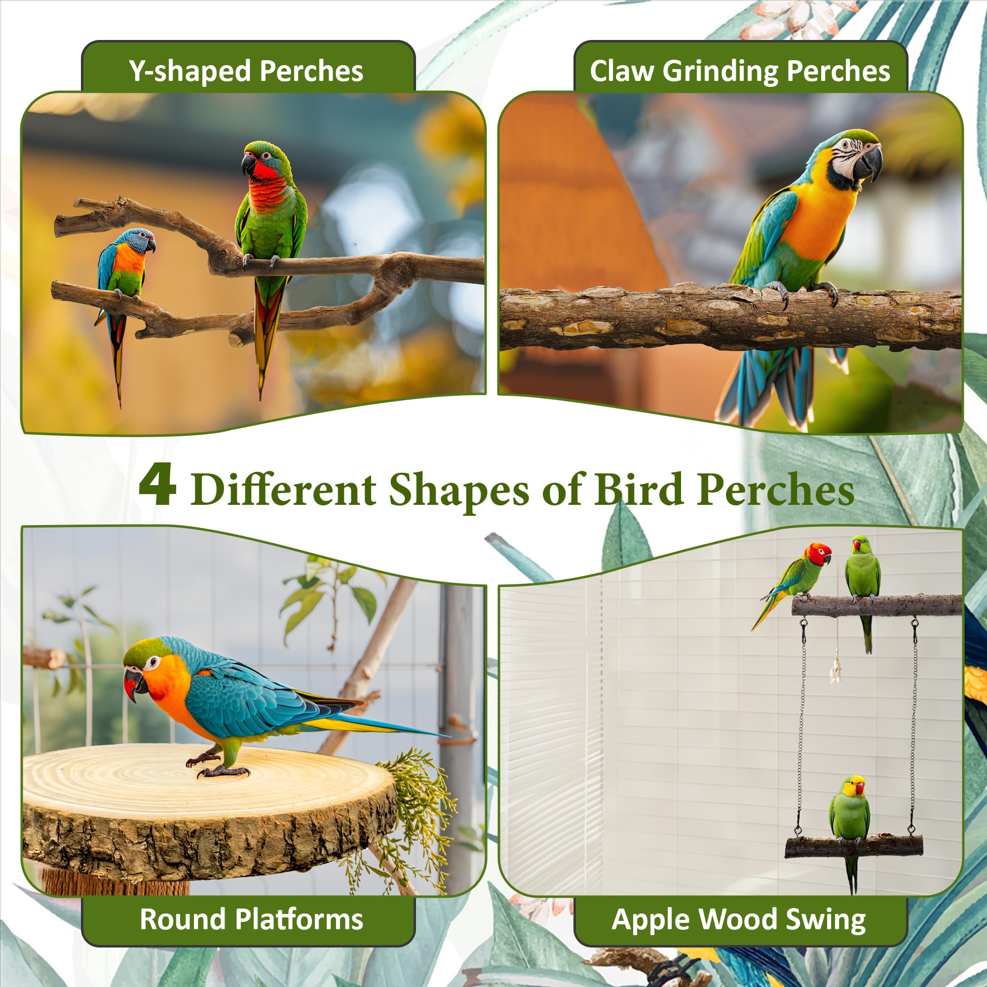 CAMATET 8pcs Bird Perches for Cage, Natural Wood Bird Perch for Parakeet/Cockatiel, 9.5“ Medium Bird Cage Stick, Bird Branches for Cages, Birdcage Accessories for Parrot Conure - image 5