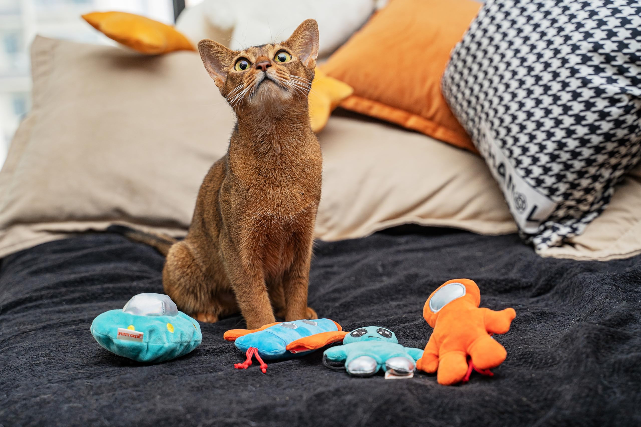Juguete interactivo de peluche para gatos con hierba gatera, tema de viaje espacial, 5 pulgadas, para gatos de todos los tamaños de razas (nave espacial)