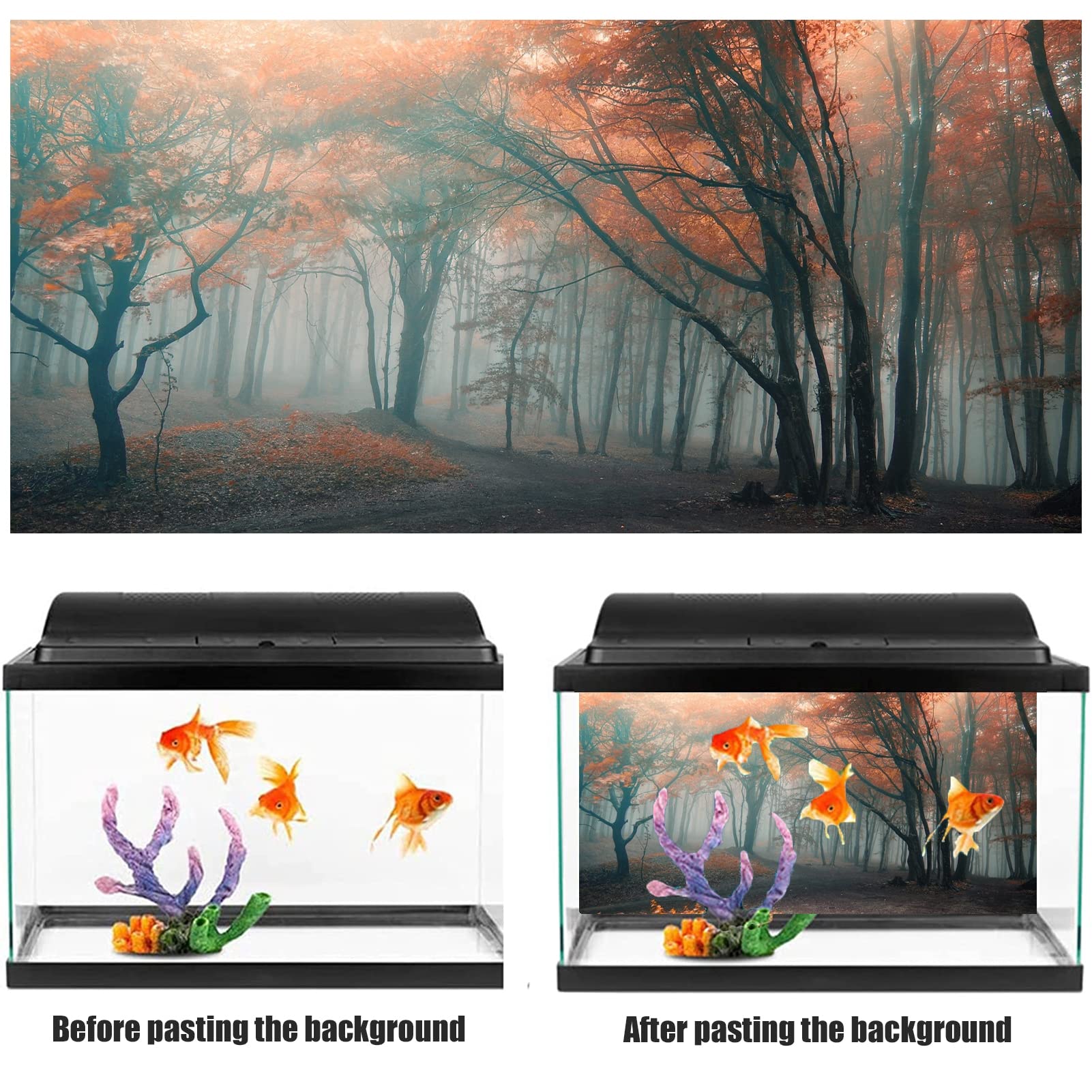 BAHULA Fond d'aquarium en PVC 3D - Soleil - Forêt - Poster mural - Peinture décorative - Autocollant pour aquarium - 122 x 76 cm