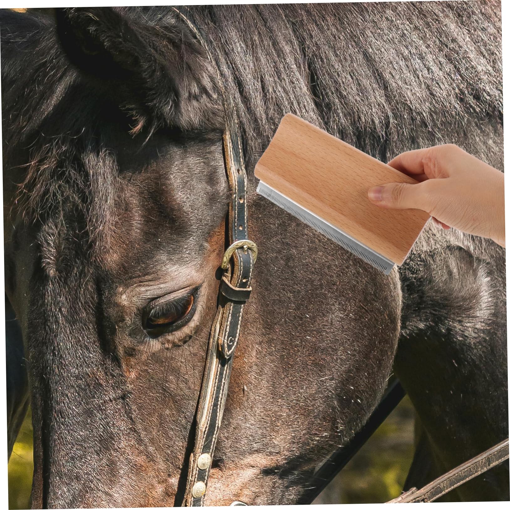 Supvox 5stücke Horse Deshedding Brush Pferdebürste Für Effektives Grooming Für Pflege Von Pferdehaaren Und Fördert Die Bindung Tier Und