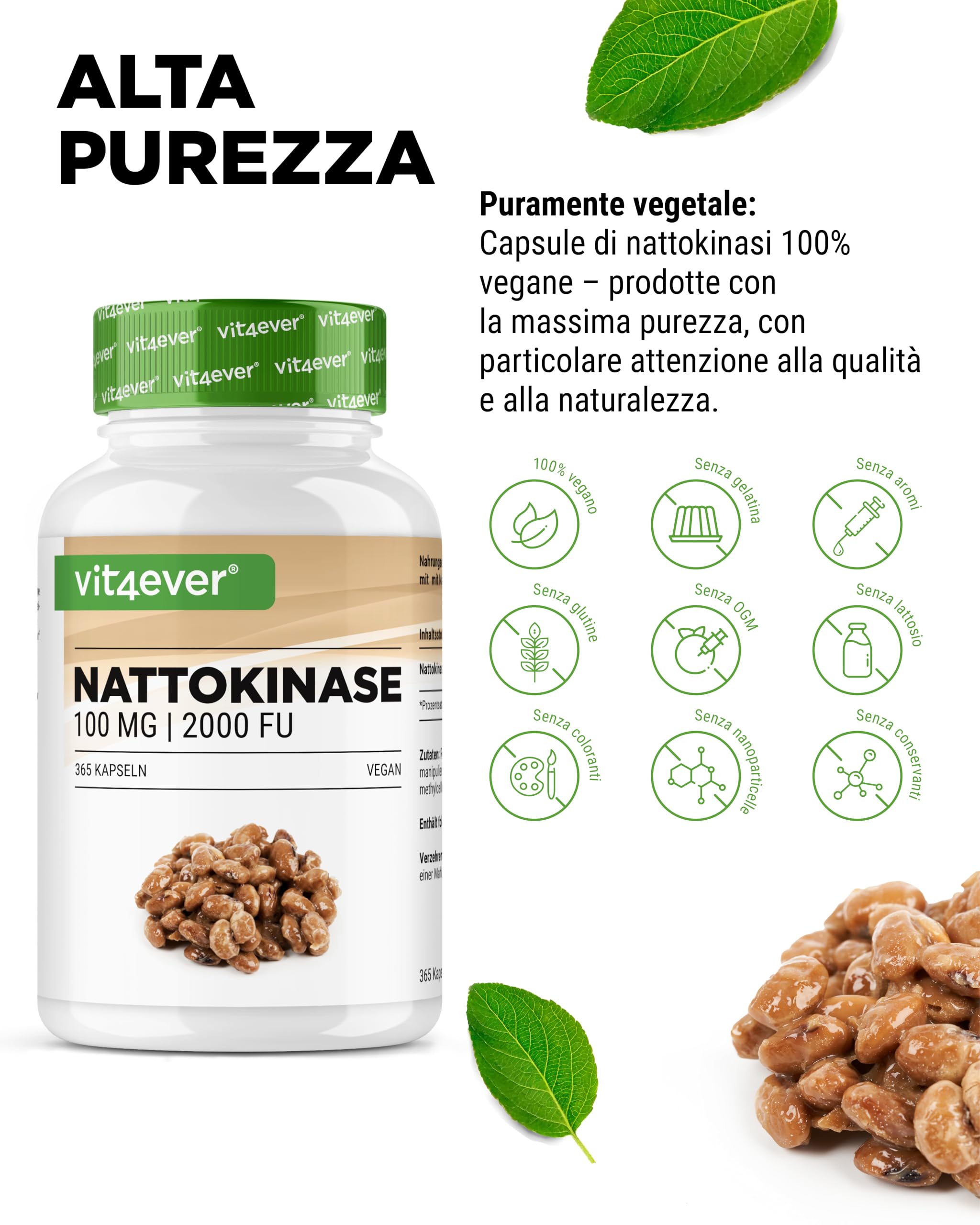 vit4ever Nattokinase - 365 Capsule da 100 mg Nattokinasi (20.000 FU/g) - Scorta per 12 Mesi - Alto Dosaggio - Vegano - Senza OGM - Senza Additivi Inutili