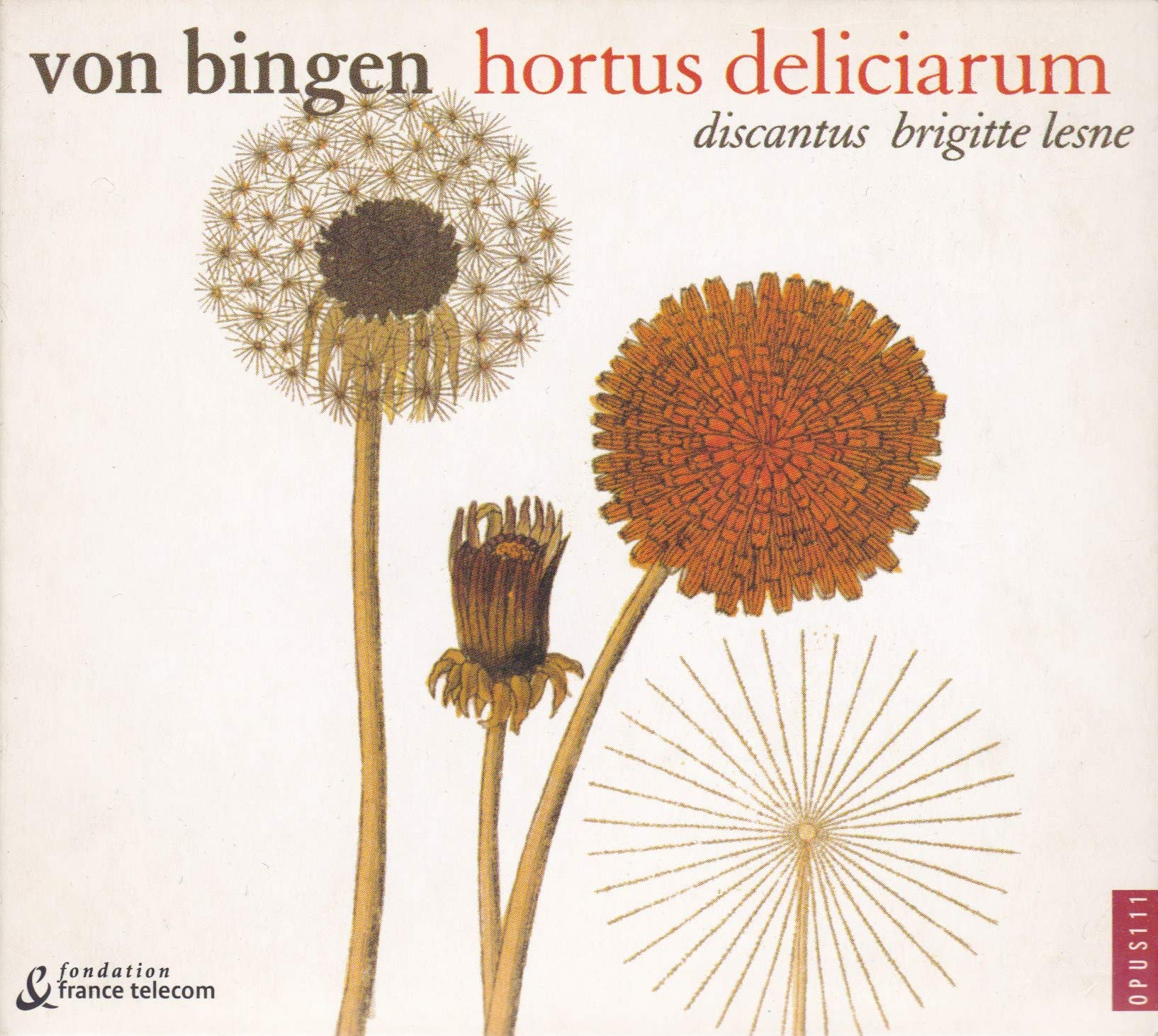 Hortus Deliciarum [Audio CD] Von Bingen; Lesne and Discantus