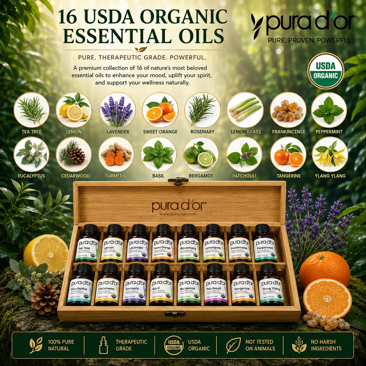 PURA D'OR Organic Sweet16 Essential Oils Aromatherapy Box Set, 10mL x16 Product Image 3