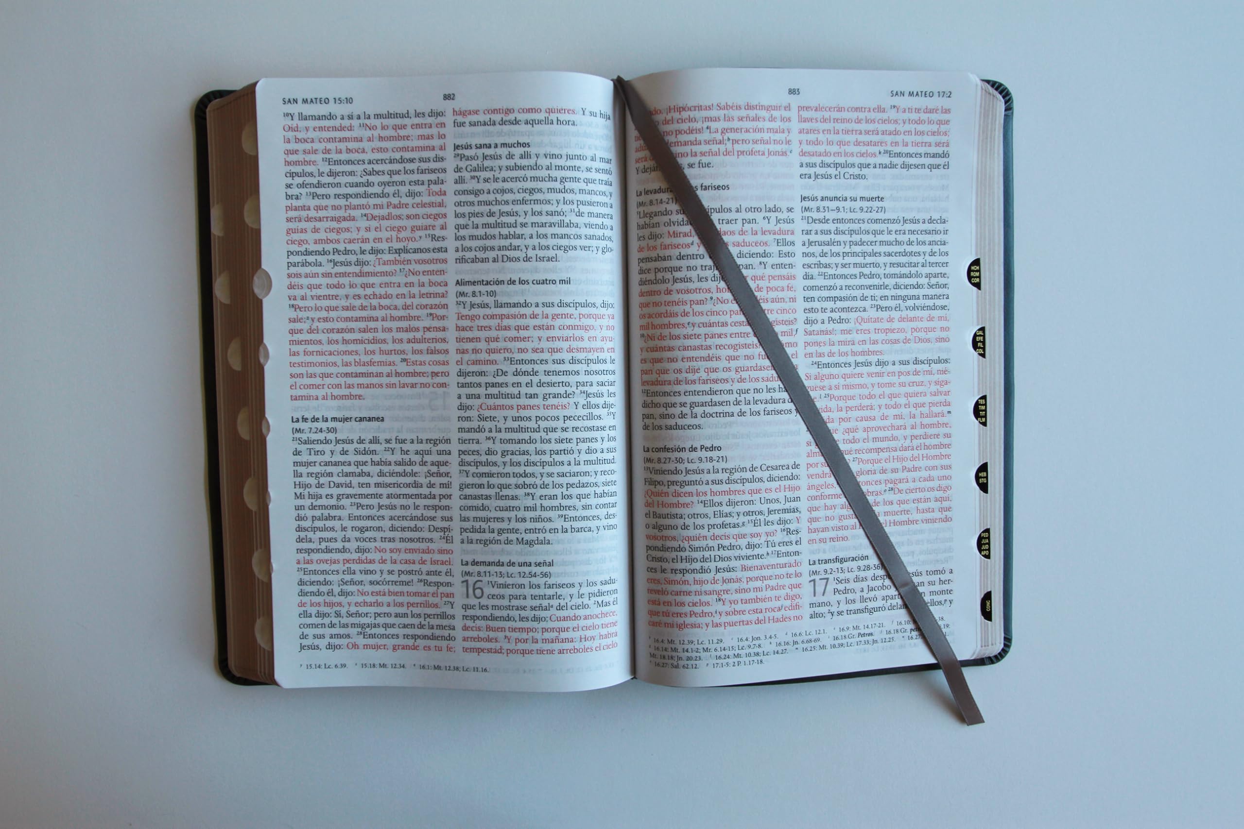 Biblia RVR 1960 letra grande tamaño manual, Piel gris con índice / Spanish Bible RVR 1960 Handy Size Large Print Leathersoft Gray with index