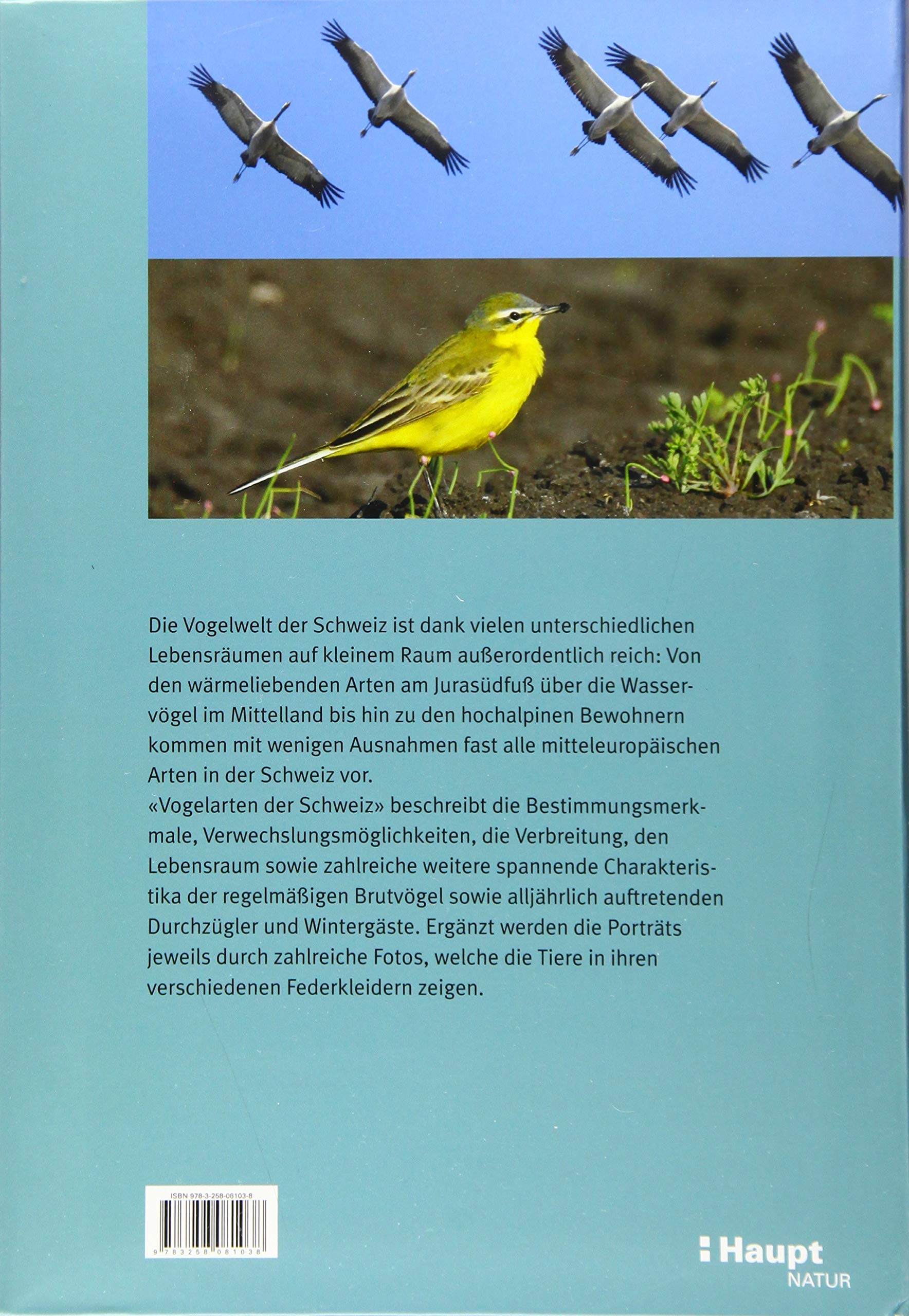 Vogelarten der Schweiz: Der Bestimmungsführer