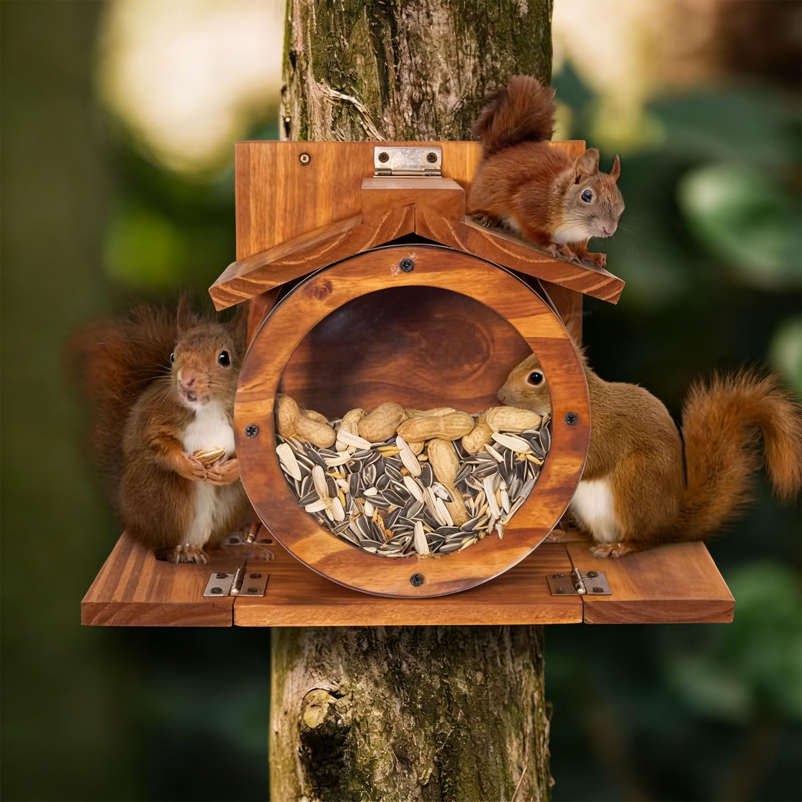 Mangiatoia in legno resistente alle intemperie con finestra di visualizzazione per osservazione degli uccelli all'aperto amanti della natura