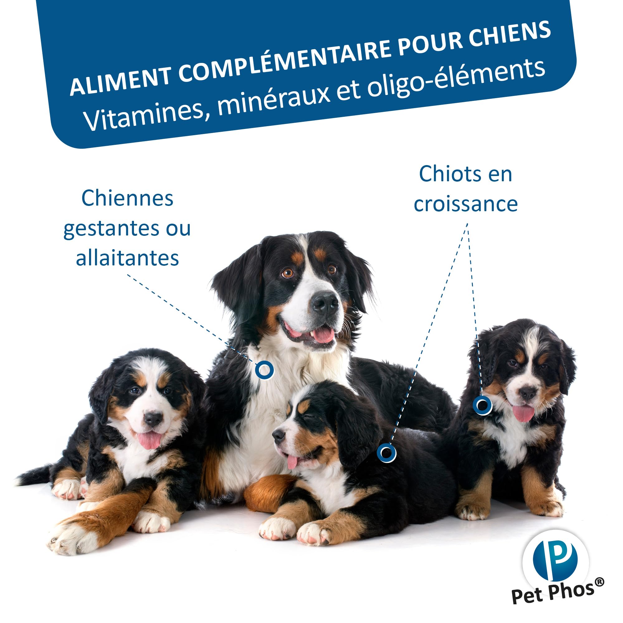 Pet PHOS Croissance CA/P = 2 Grand Chien pour Chiots en Croissance et Femelles gestantes ou allaitantes nourris avec Une Ration ménagère ou Industrielle