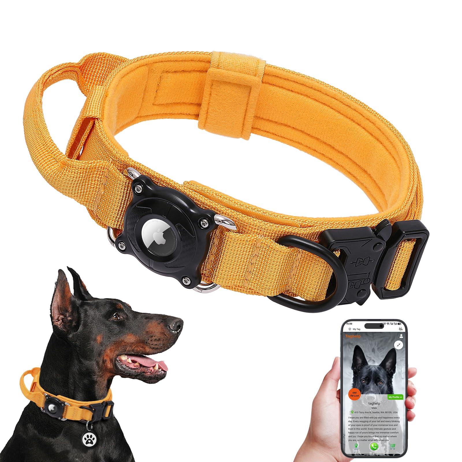 Collier tactique pour chien avec poignée intégrée idéal pour la randonnée et l'éducation