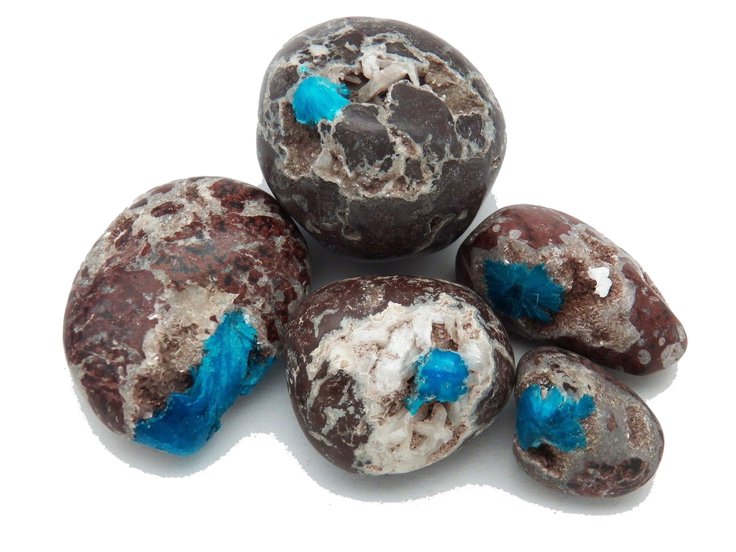 Fundamental Rockhound Products: 1 pc Cavansite on Matrix Tumbled Stone AA Quality Crystal from India (Large)