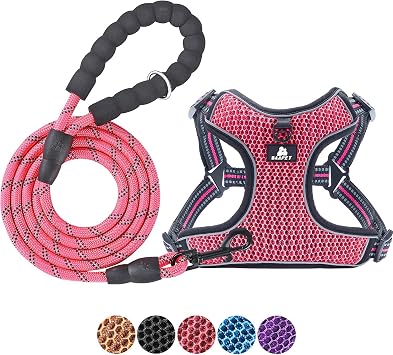 BAAPET Breathable Dog Harness for Small Puppy, Medium or Large Dogs Step-in and Air Mesh with 6 Feet Reflective Rope Dog Leash XL - 6 FT x Chest 2428'', Pink