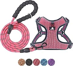 BAAPET Breathable Dog Harness for Small Puppy, Medium Dogs Step-in and Air Mesh with 6 Feet Reflective Rope Dog Leash (S - 6 FT x Chest (17~19''), Pink)