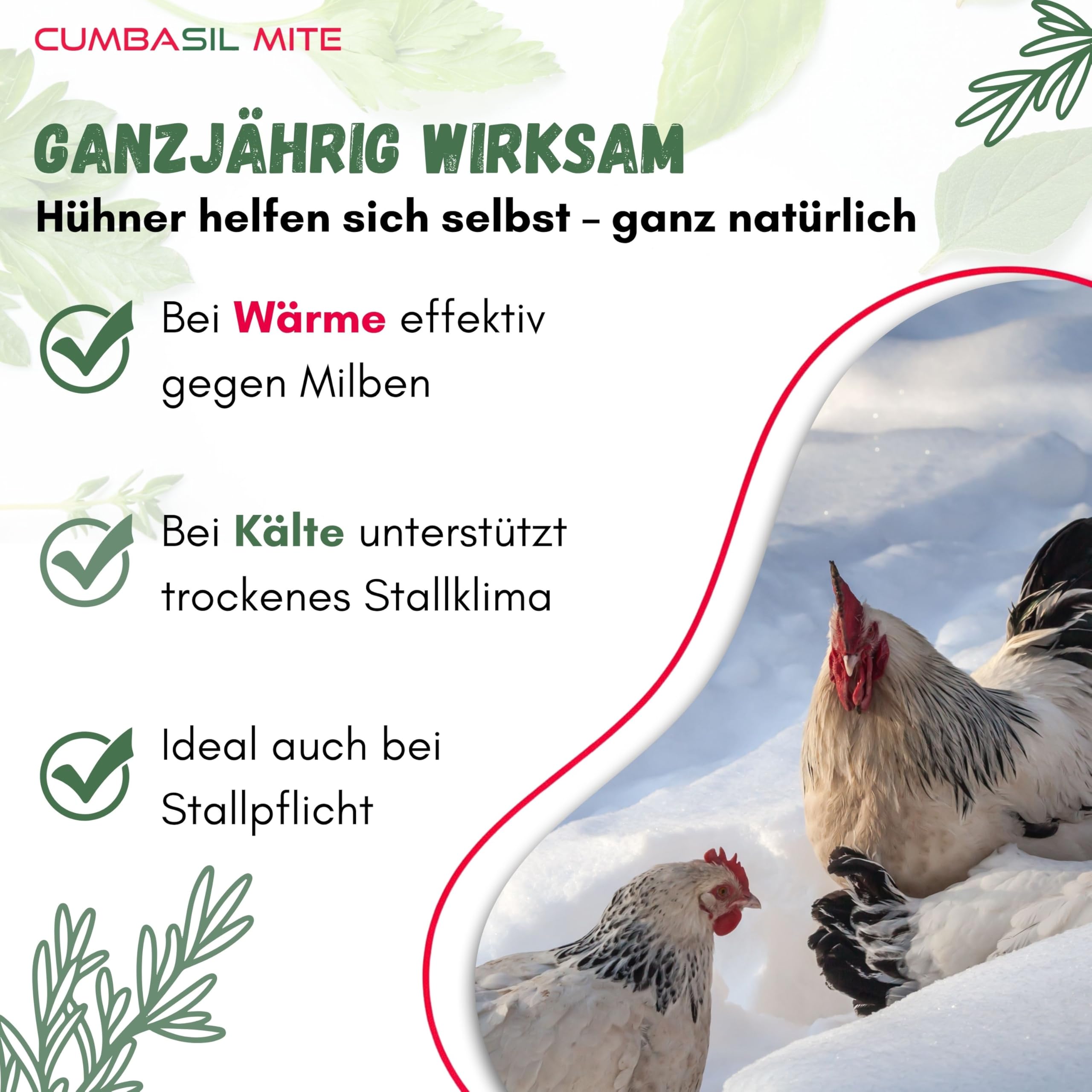 Starter Pack Mite Staubbad für Hühner 15kg - Sandbad Pulver gegen Milben, Milbenmittel Hühner, natürlicher Milbenschutz, Puder