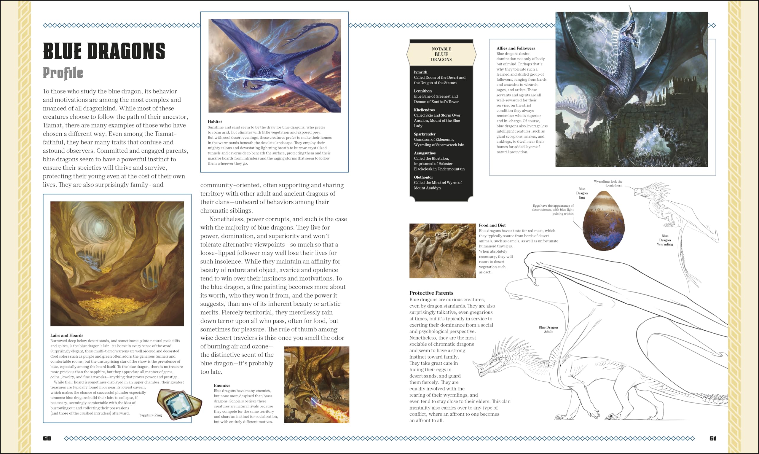 Dungeons & Dragons The Book of Dragons
