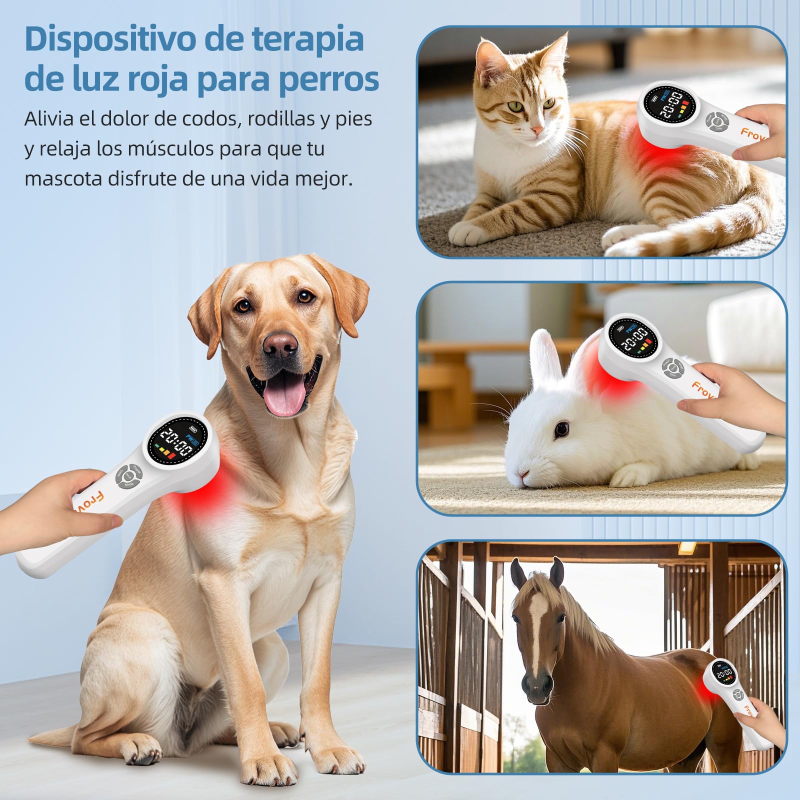 Terapia de Luz Infrarroja 4x980nm 4x810nm 16x660nm para aliviar el dolor