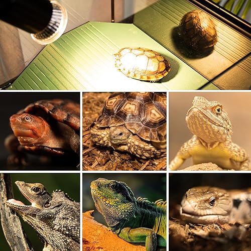 Miniatura 9 de REPTIZOO Lámpara de calor para reptiles, bombilla de reptil UVA UVB, lámpara de calor de tortuga, clip de reptil con manguera giratoria de 360,