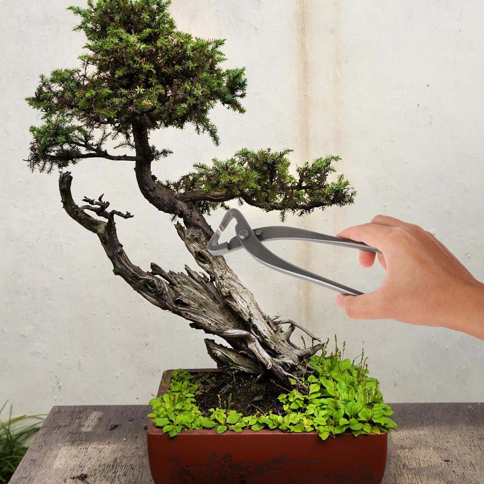 jojofuny Sécateur à Bonsaï en Acier Argenté Design Ergonomique, Outil Polyvalent Taille Sculpture Créative des Branches de Bonsaï
