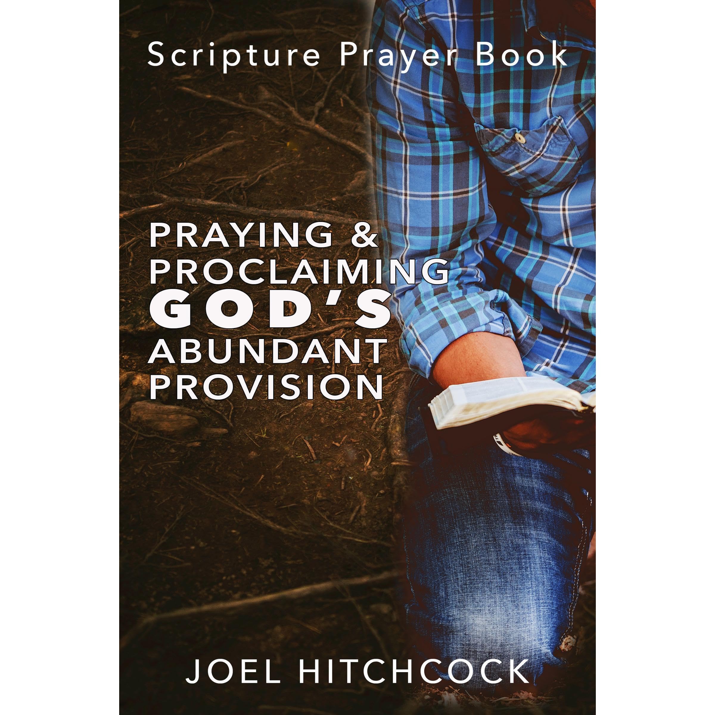 Praying and Proclaiming God's Abundant Provision