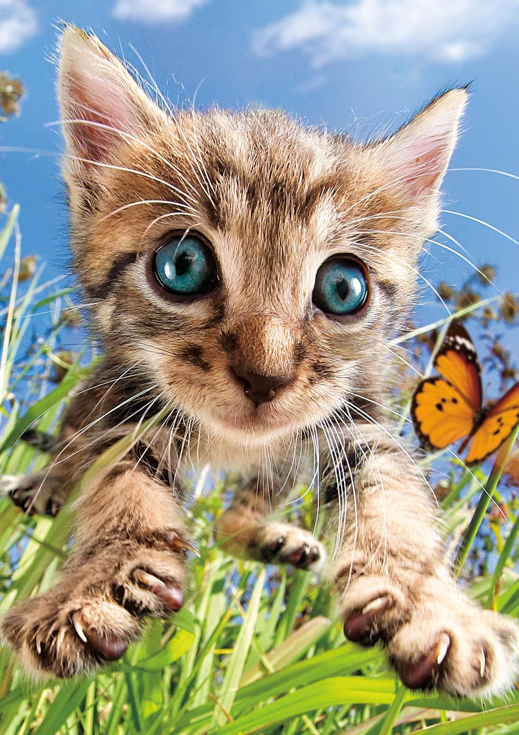 Buffalo Games - Pounce! - 500 Piece Jigsaw Puzzle Multicolor, 21.25"L X 15"W : Toys & Games