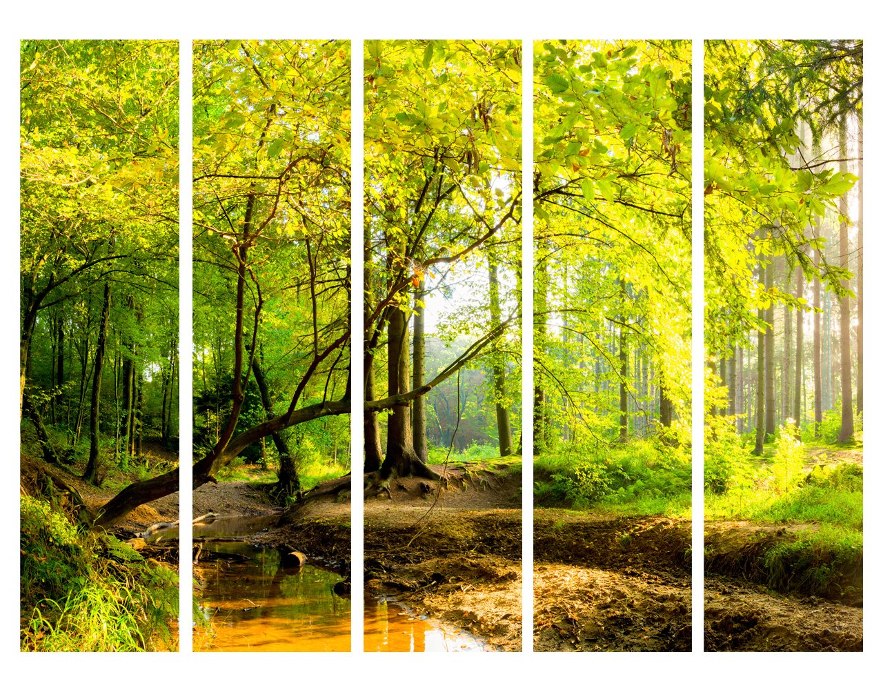murando - Paravent Raumteiler Natur, 225x172 cm, 5-teilig, Wohnzimmer, Büro | Mobiler Sichtschutz, sofort einsatzbereit, Holzrahmen, ideal fürs Wohnzimmer oder Büro, geruchsneutral, lichtbeständig