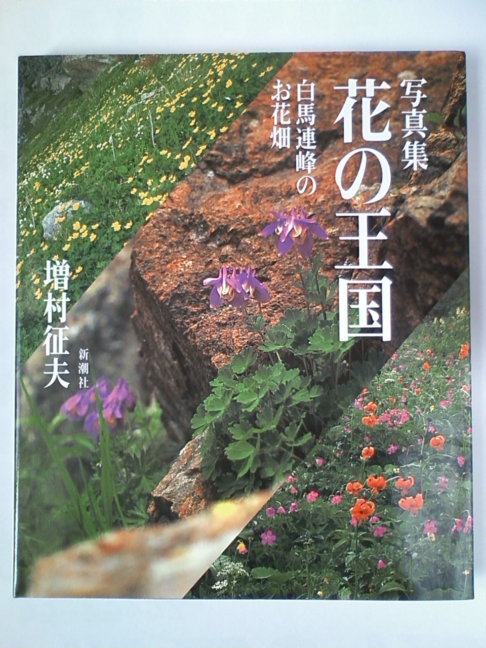 81lpQiN6RKL.jpg