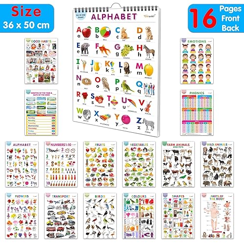 Lkg Class Picture Chart : Chart For Children, All In One essential Chart, Gift For Kids My First ALL IN ONE SPIRAL CHART With 16 Topics, gift for birthday