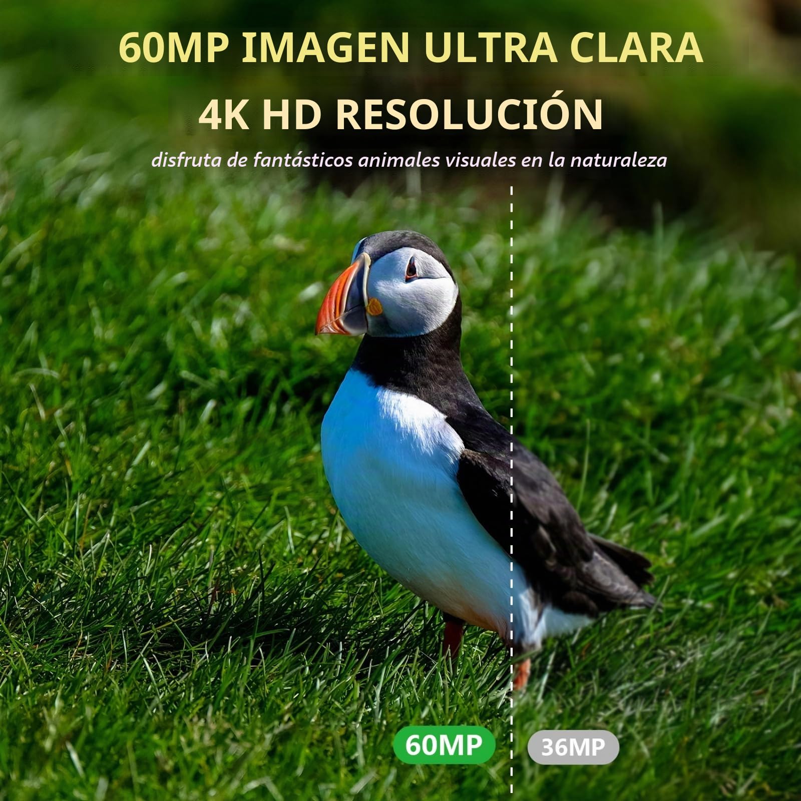 EMEBAY Cámara de Caza Solar Tarjeta SD de 64GB, 4K 60MP WiFi Cámara de Caza | Batería Recargable 5200mAh, Cámara de Fototrampeo con Visión Nocturna Infrarroja, Detección de Movimiento, IP66