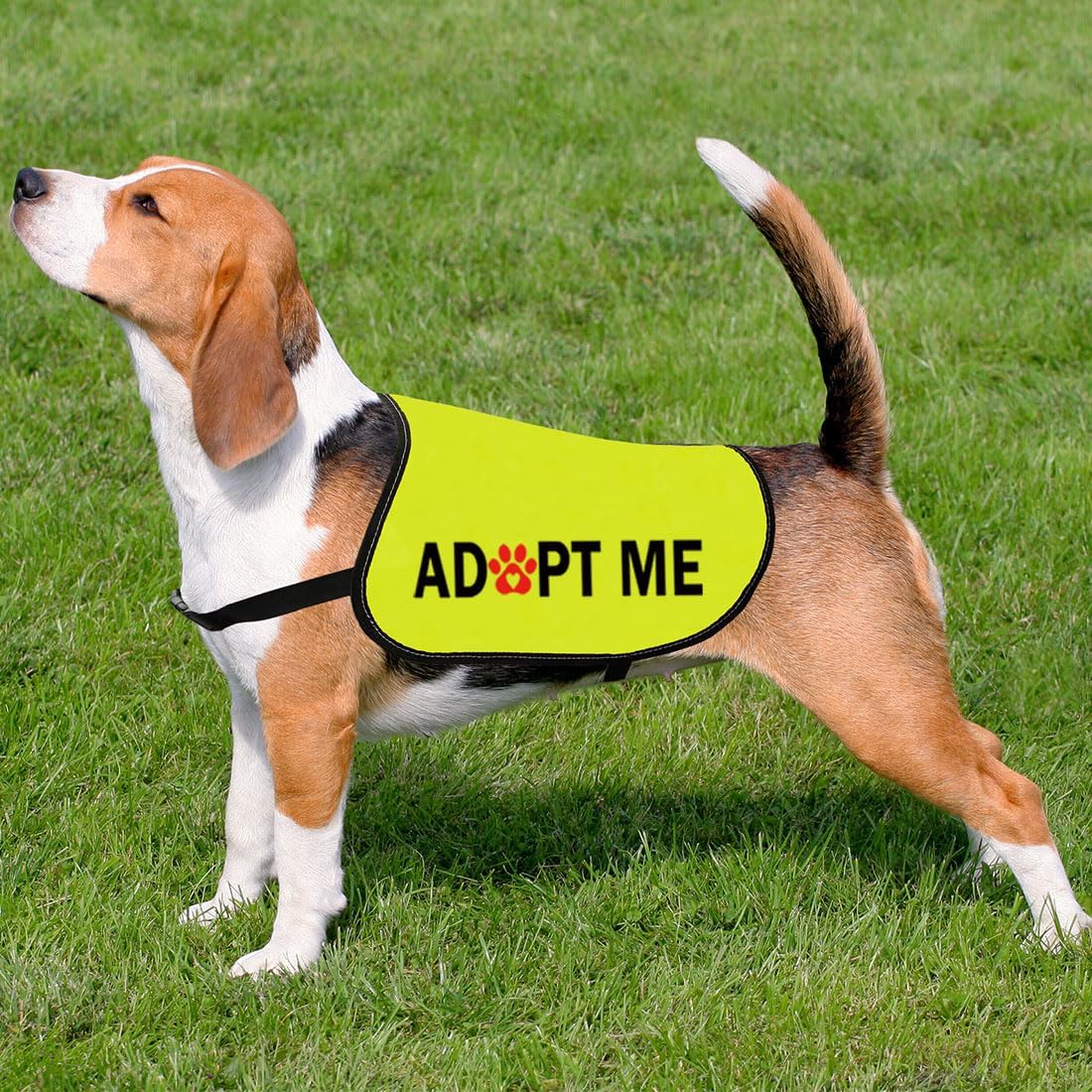 CENWA Adopted and Adored Dogs Adopt Dog Jacket Vest Adopt Dog Jacket Vest New Puppy Dogs (Adopt L) - Image 6