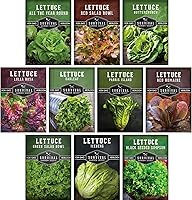 10 Heirloom Lettuce Seeds Variety Pack: Buttercrunch, Romaine, Iceberg, Oakleaf & More | Non-GMO Survival Garden Seeds for Year-Round Salads
