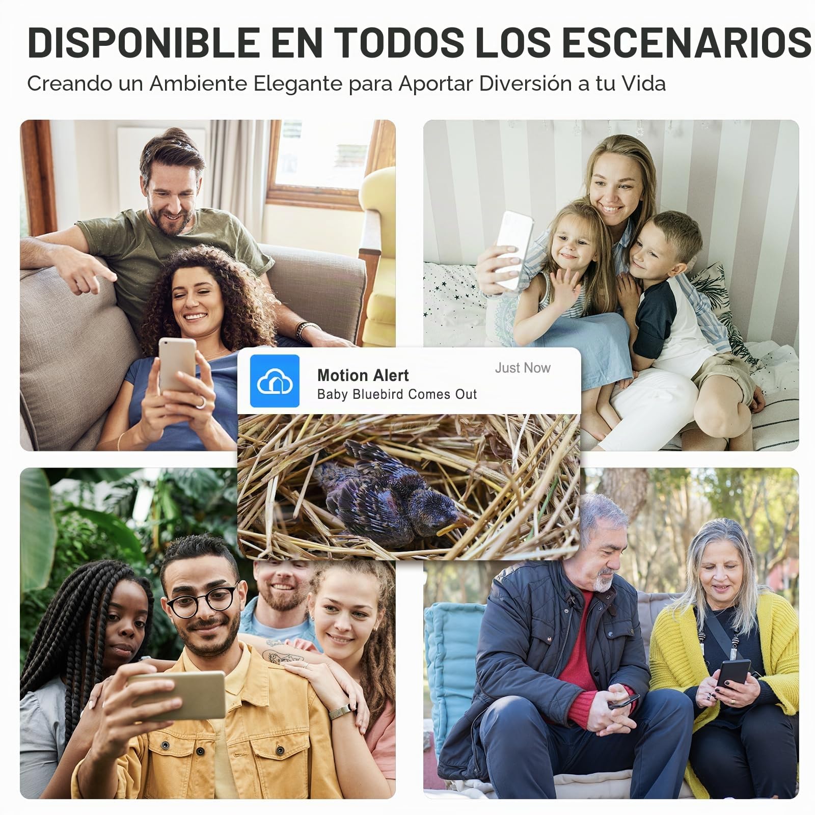 Casas para Pájaros con Cámara HD de 4MP, Caja de Pájaros Resistente a la Intemperie, WiFi de 2.4G y Notificación por Aplicación, Observa el Anidamiento y la Eclosión, Grabación Automática de Videos, A