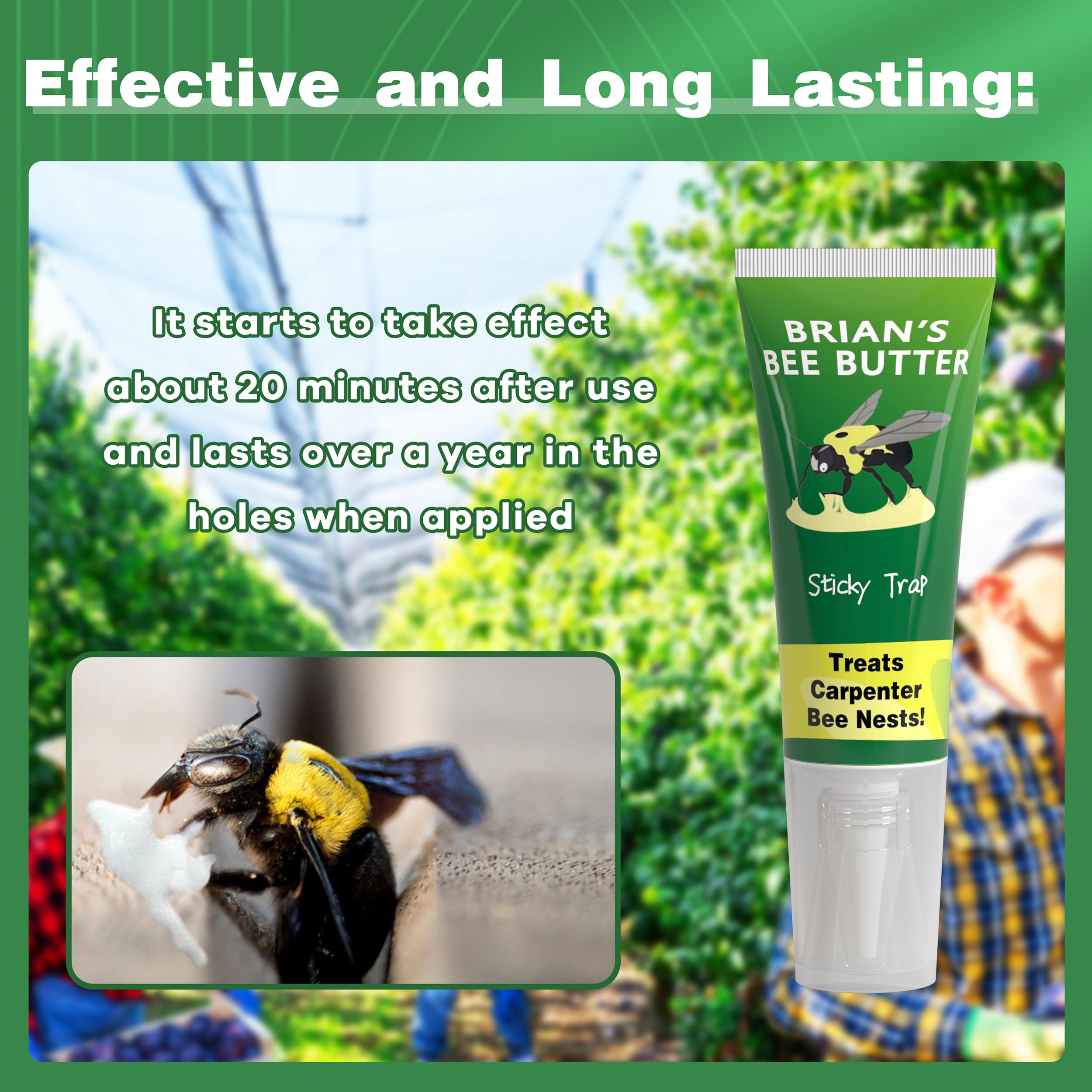 Trampas para avispas de abeja de carpintero para exteriores, paquete de 2 trampas adhesivas, tratamiento de agujeros de abeja de carpintero de madera